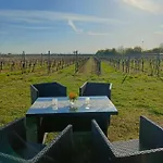 Apartman Herzlich Inmitten Der Weinreben Gonnheim