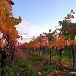 Herzlich Inmitten Der Weinreben *