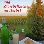 Herzlich Inmitten Der Weinreben Appartement