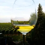 Herzlich Inmitten Der Weinreben Appartement *