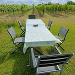 Apartman Herzlich Inmitten Der Weinreben *