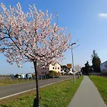 Herzlich Inmitten Der Weinreben Apartman Gonnheim