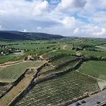 Lägenhet Herzlich Inmitten Der Weinreben Gonnheim