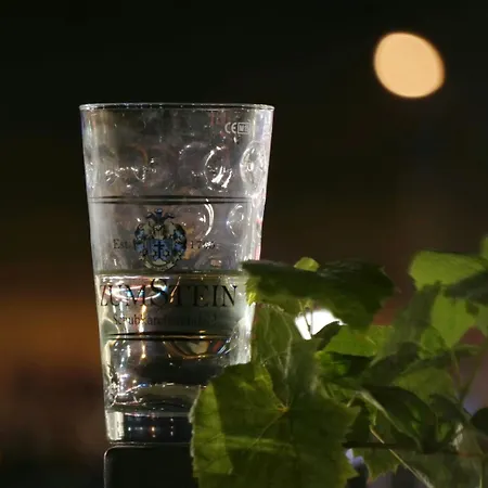 Herzlich Inmitten Der Weinreben Gonnheim