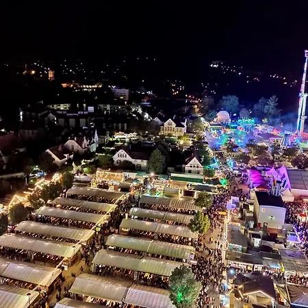 Herzlich Inmitten Der Weinreben