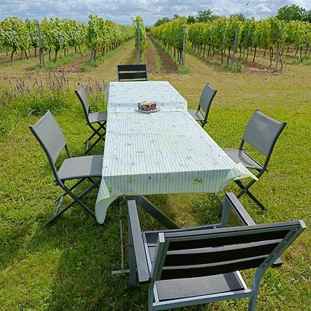Appartement Herzlich Inmitten Der Weinreben *