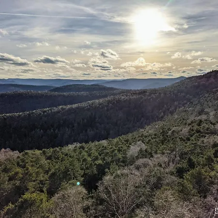 Herzlich Inmitten Der Weinreben *