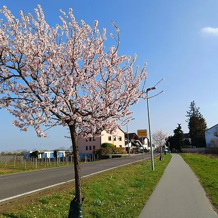 Herzlich Inmitten Der Weinreben Διαμέρισμα Gonnheim