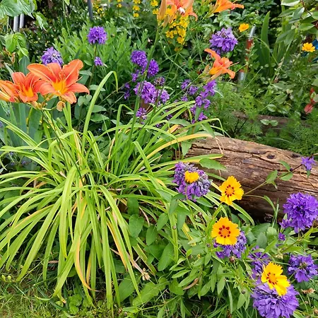 Herzlich Inmitten Der Weinreben Apartament Gonnheim