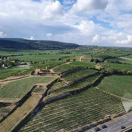 Διαμέρισμα Herzlich Inmitten Der Weinreben Gonnheim