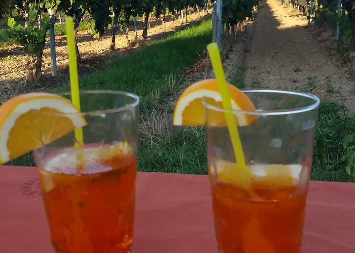 公寓 Herzlich Inmitten Der Weinreben Gonnheim