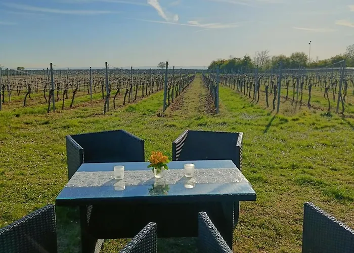 公寓 Herzlich Inmitten Der Weinreben Gonnheim