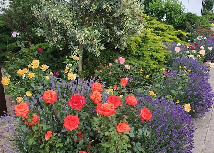 Herzlich Inmitten Der Weinreben 公寓 *