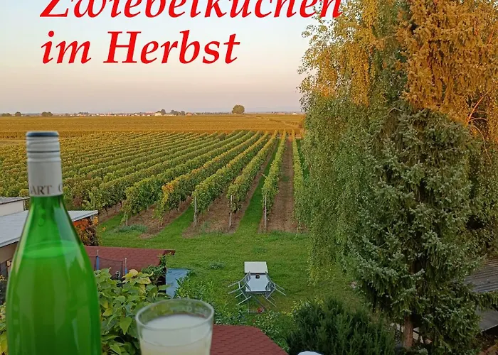 Herzlich Inmitten Der Weinreben 公寓