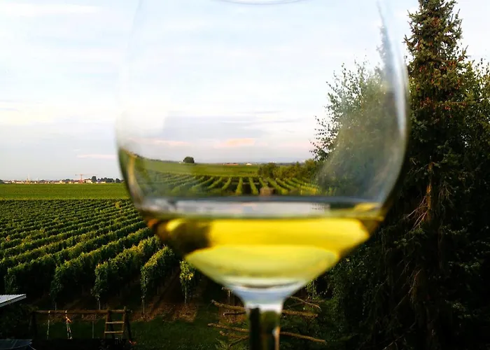 Herzlich Inmitten Der Weinreben 公寓 *