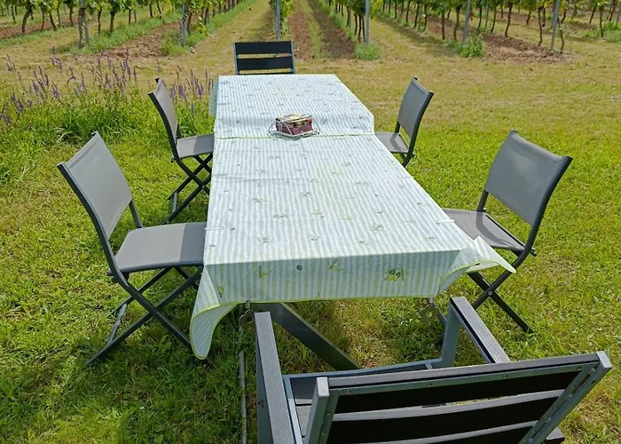 公寓 Herzlich Inmitten Der Weinreben *