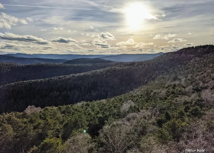 Herzlich Inmitten Der Weinreben *