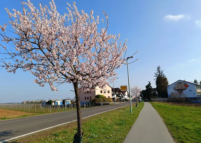 Herzlich Inmitten Der Weinreben 公寓 Gonnheim