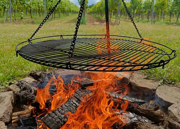 Herzlich Inmitten Der Weinreben * Gonnheim