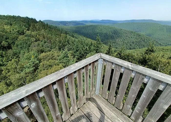 Herzlich Inmitten Der Weinreben