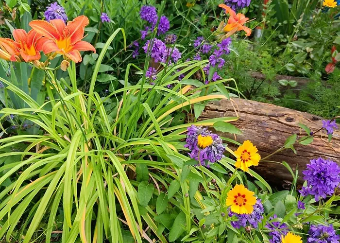 Herzlich Inmitten Der Weinreben 公寓 Gonnheim