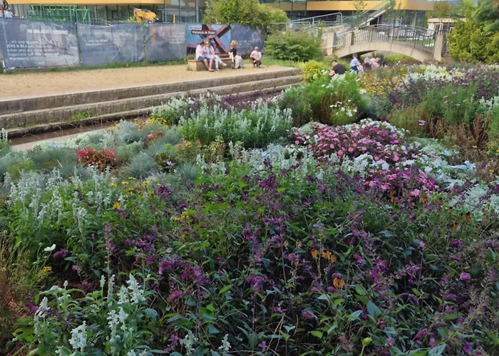 Herzlich Inmitten Der Weinreben *